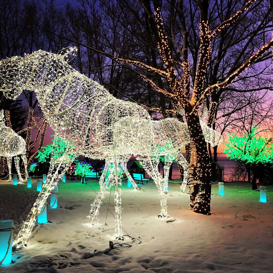 Toronto's Magical Aurora Winter Festival Is Back And You Don't Want To